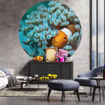 WallArt Wallpaper Circle Nemo the Anemonefish 190 cm