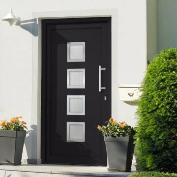 Front Door Anthracite 98x190 cm