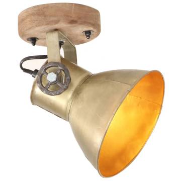 Industrial Wall/Ceiling Lamps 2 pcs Brass 20x25 cm E27