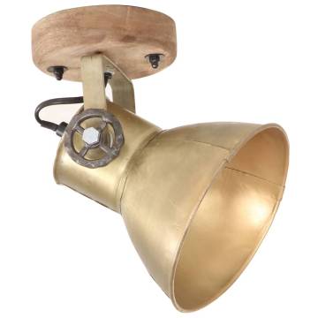 Industrial Wall/Ceiling Lamps 2 pcs Brass 20x25 cm E27