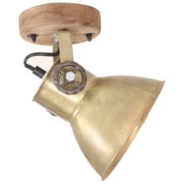 Industrial Wall/Ceiling Lamps 2 pcs Brass 20x25 cm E27