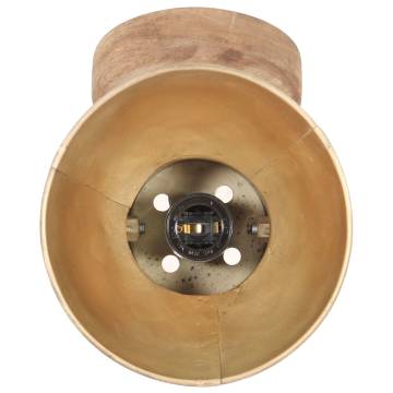 Industrial Wall/Ceiling Lamps 2 pcs Brass 20x25 cm E27