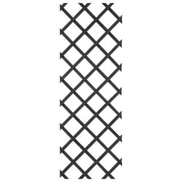 Nature Garden Trellis 50x150 cm Wood Anthracite