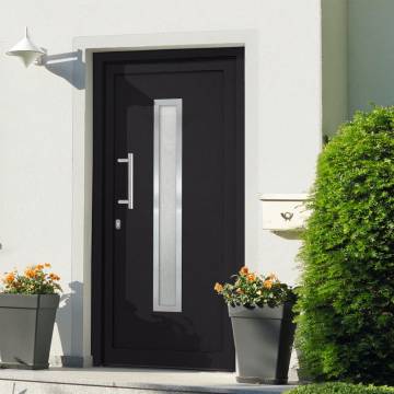 Front Door Anthracite 98x208 cm