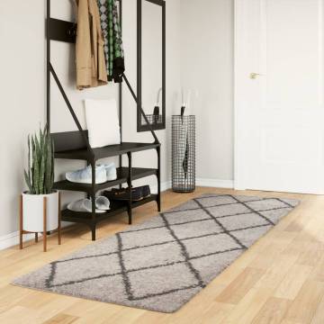 Shaggy Rug High Pile Modern Beige and Anthracite 80x250 cm