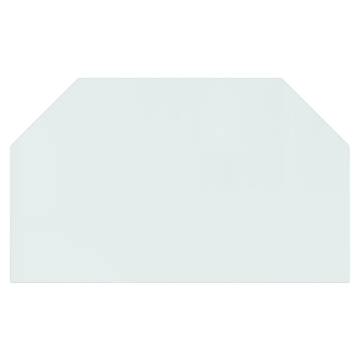 Fireplace Glass Plate Hexagon 100x60 cm