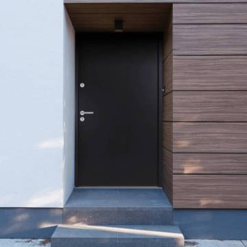 Front Door Anthracite 100x200 cm Aluminium