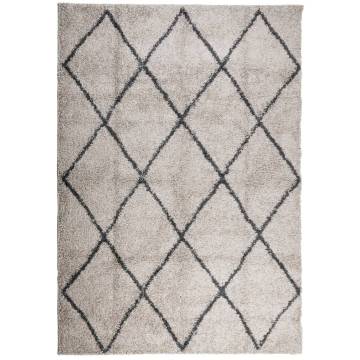 Shaggy Rug High Pile Modern Beige and Anthracite 160x230 cm