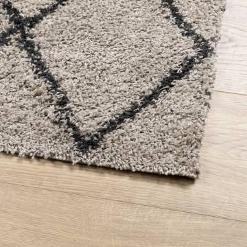 Shaggy Rug High Pile Modern Beige and Anthracite 160x230 cm