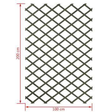 Nature Garden Trellis 100x200 cm Wood Green 6041704