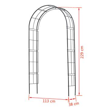 Nature Garden Arch Metal 229x38x113 cm Black