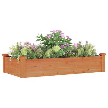 Garden Raised Bed with Liner Brown 120x60x25 cm Solid Wood Fir