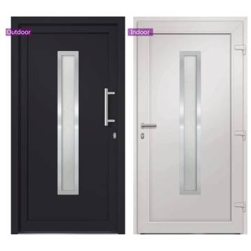 Front Door Anthracite 108x208 cm