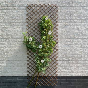 Nature Garden Trellis 60x180 cm Natural Willow Brown