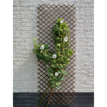 Nature Garden Trellis 60x180 cm Natural Willow Brown