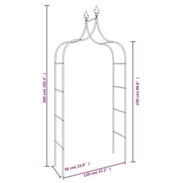 Garden Arches 2 pcs Black 120x38x260 cm Steel