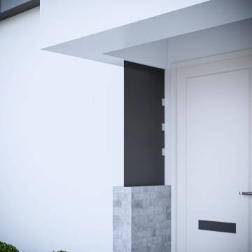 Side Panel for Door Canopy Black 50x100 cm Tempered Glass