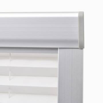 Pleated Blind White FK06