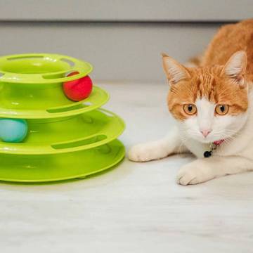 Ferplast Cat Toy Twister 85089099