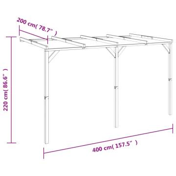 Lean-To Pergola 2x4x2.2 m Wood