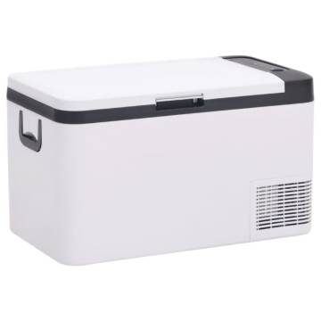 Cool Box with Handle Black and White 25 L PP & PE