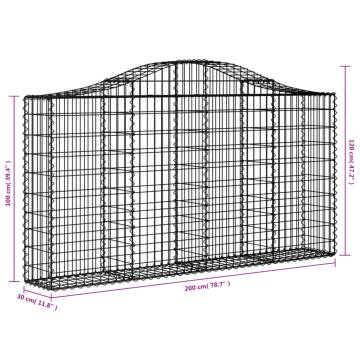 Arched Gabion Baskets 40 pcs 200x30x100120 cm Galvanised Iron